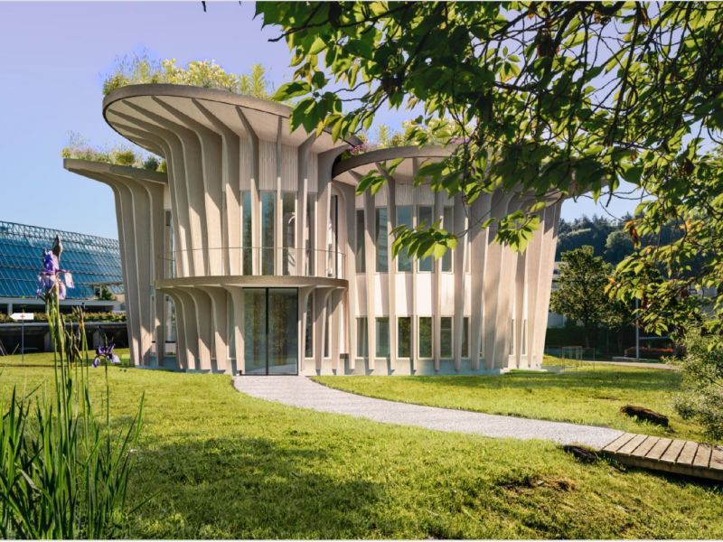 Geburtswunder Vorarlberg